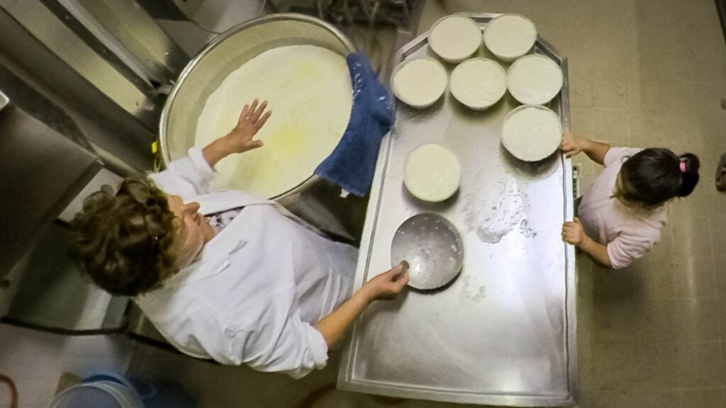 preparazione pecorino stagionato